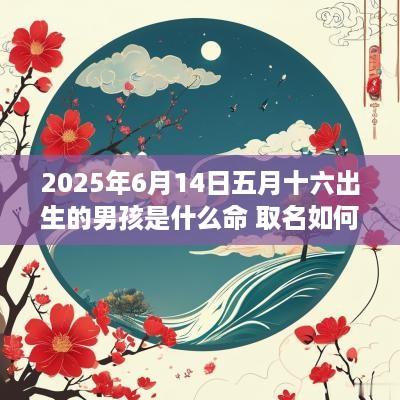 2025年6月14日五月十六出生的男孩是什么命 取名如何补土