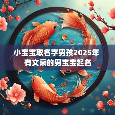 小宝宝取名字男孩2025年 有文采的男宝宝起名