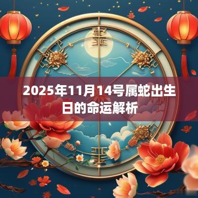 2025年11月14号属蛇出生日的命运解析