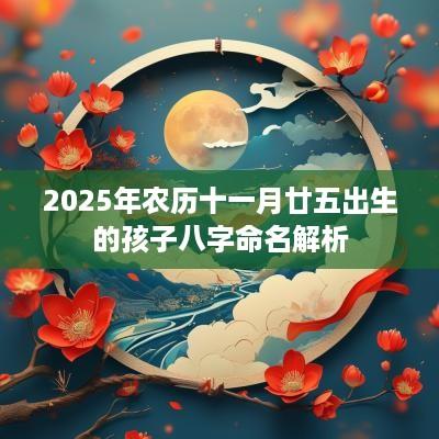 2025年农历十一月廿五出生的孩子八字命名解析