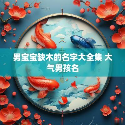 男宝宝缺木的名字大全集 大气男孩名