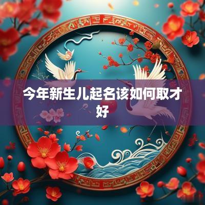今年新生儿起名该如何取才好