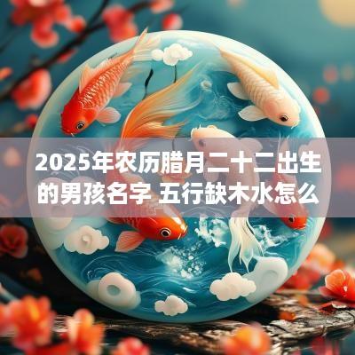 2025年农历腊月二十二出生的男孩名字 五行缺木水怎么取名