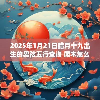 2025年1月21日腊月十九出生的男孩五行查询 属木怎么取名好