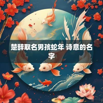 楚辞取名男孩蛇年 诗意的名字