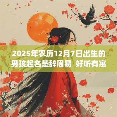2025年农历12月7日出生的男孩起名楚辞周易  好听有寓意的名字大全