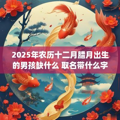 2025年农历十二月腊月出生的男孩缺什么 取名带什么字好