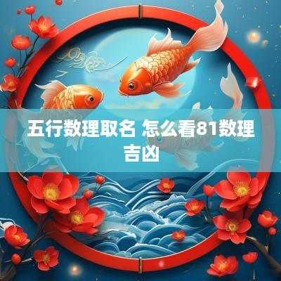五行数理取名 怎么看81数理吉凶