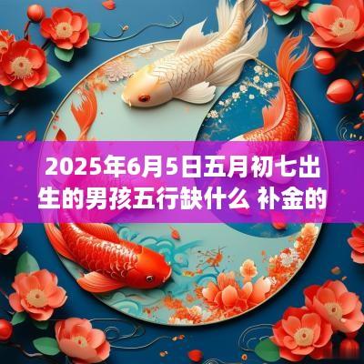 2025年6月5日五月初七出生的男孩五行缺什么 补金的名字推荐