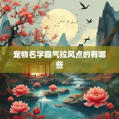 宠物名字霸气拉风点的有哪些
