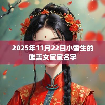 2025年11月22日小雪生的唯美女宝宝名字