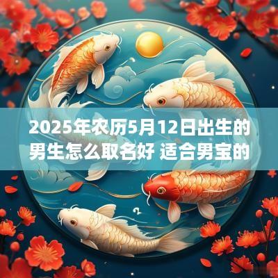 2025年农历5月12日出生的男生怎么取名好 适合男宝的字