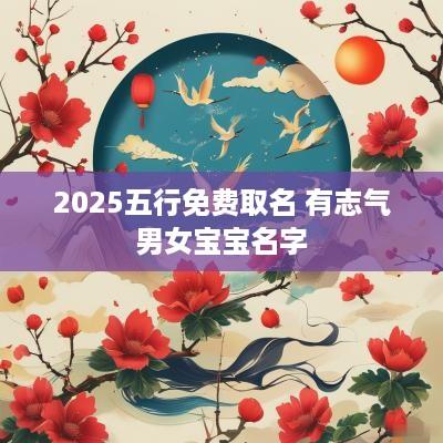 2025五行免费取名 有志气男女宝宝名字