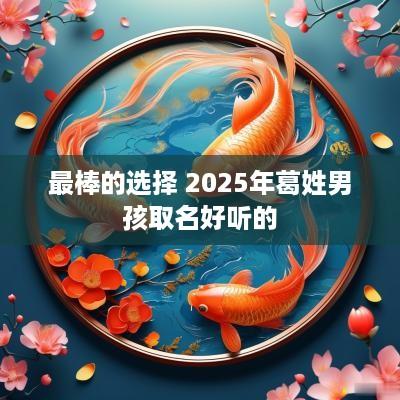 最棒的选择 2025年葛姓男孩取名好听的