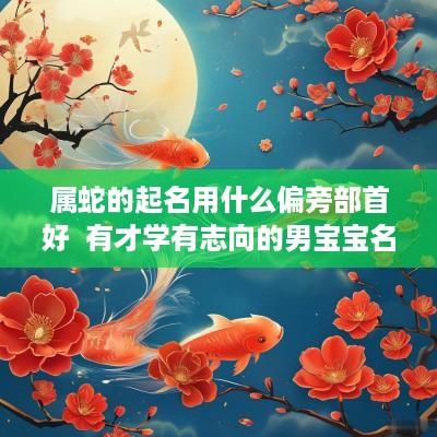属蛇的起名用什么偏旁部首好  有才学有志向的男宝宝名字