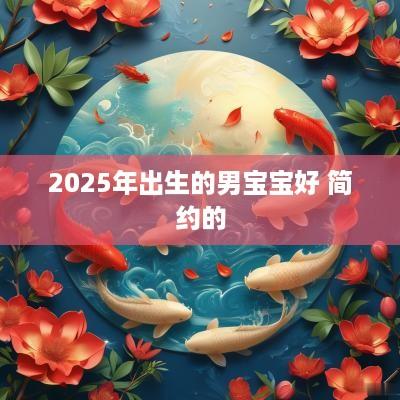 2025年出生的男宝宝好 简约的