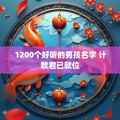 1200个好听的男孩名字 计数君已就位