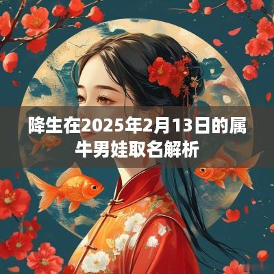 降生在2025年2月13日的属牛男娃取名解析