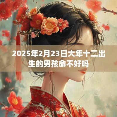 2025年2月23日大年十二出生的男孩命不好吗