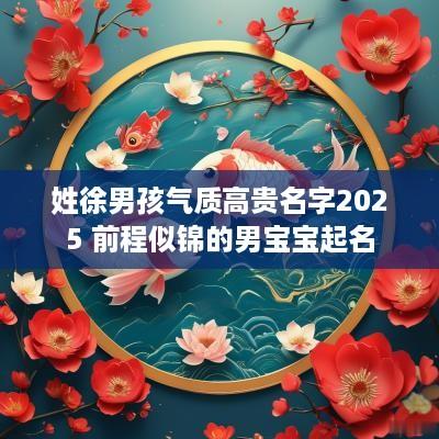 姓徐男孩气质高贵名字2025 前程似锦的男宝宝起名