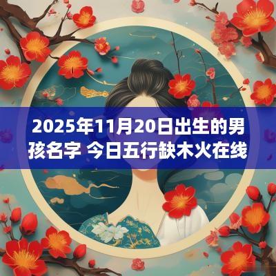 2025年11月20日出生的男孩名字 今日五行缺木火在线取名