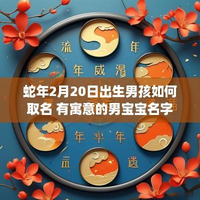 蛇年2月20日出生男孩如何取名 有寓意的男宝宝名字