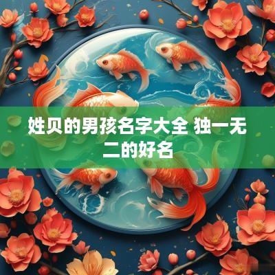 姓贝的男孩名字大全 独一无二的好名