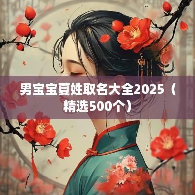 男宝宝夏姓取名大全2025（精选500个）