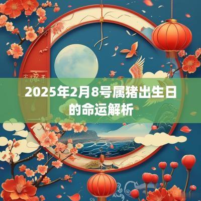 2025年2月8号属猪出生日的命运解析