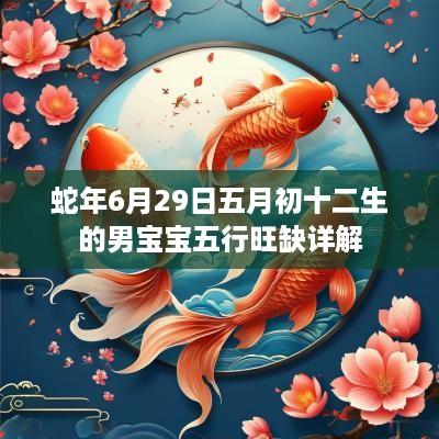 蛇年6月29日五月初十二生的男宝宝五行旺缺详解