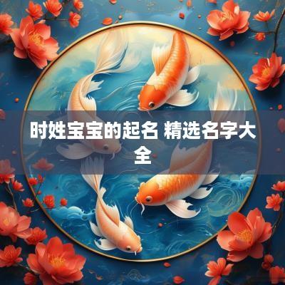 时姓宝宝的起名 精选名字大全