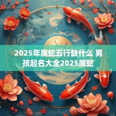 2025年属蛇五行缺什么 男孩起名大全2025属蛇