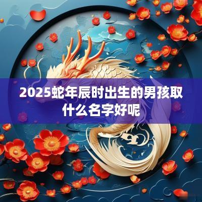 2025蛇年辰时出生的男孩取什么名字好呢