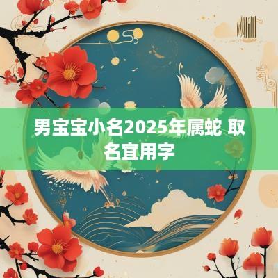 男宝宝小名2025年属蛇 取名宜用字