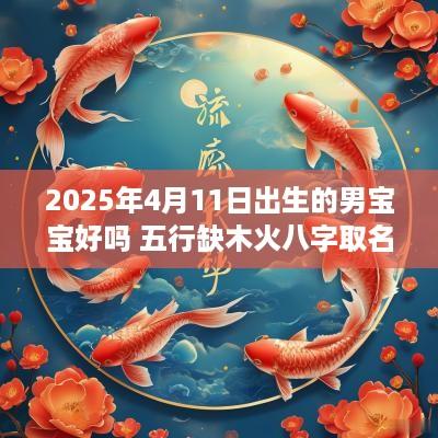 2025年4月11日出生的男宝宝好吗 五行缺木火八字取名