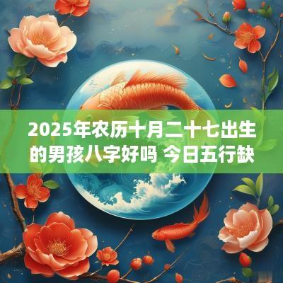 2025年农历十月二十七出生的男孩八字好吗 今日五行缺木火取名