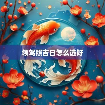 领驾照吉日怎么选好