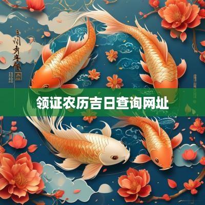 领证农历吉日查询网址