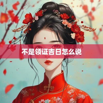 不是领证吉日怎么说