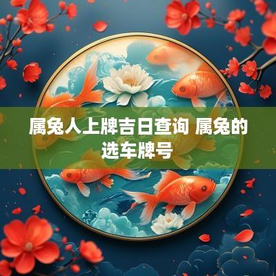 属兔人上牌吉日查询 属兔的选车牌号