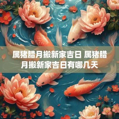 属猪腊月搬新家吉日 属猪腊月搬新家吉日有哪几天