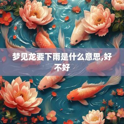 梦见龙要下雨是什么意思,好不好