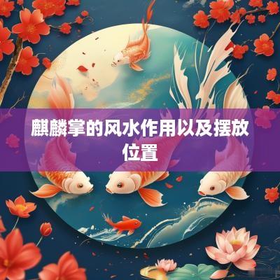 麒麟掌的风水作用以及摆放位置
