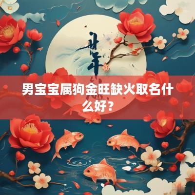 男宝宝属狗金旺缺火取名什么好？
