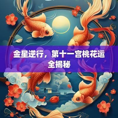 金星逆行，第十一宫桃花运全揭秘