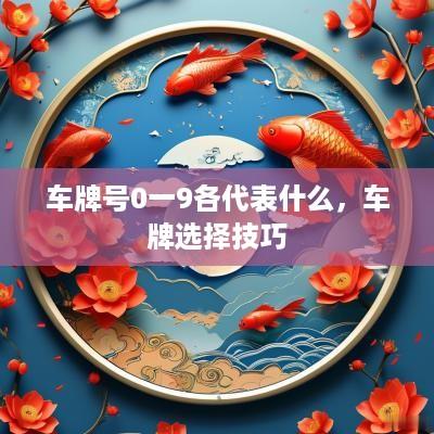 车牌号0一9各代表什么，车牌选择技巧