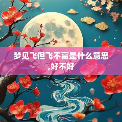 梦见飞但飞不高是什么意思,好不好
