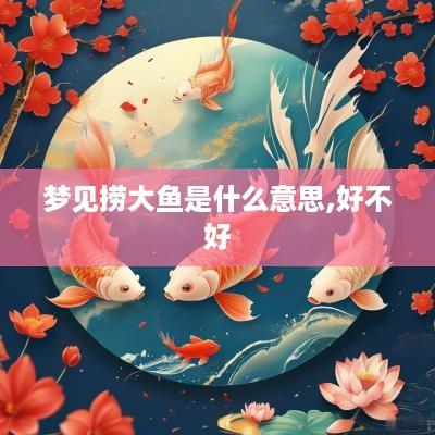 梦见捞大鱼是什么意思,好不好
