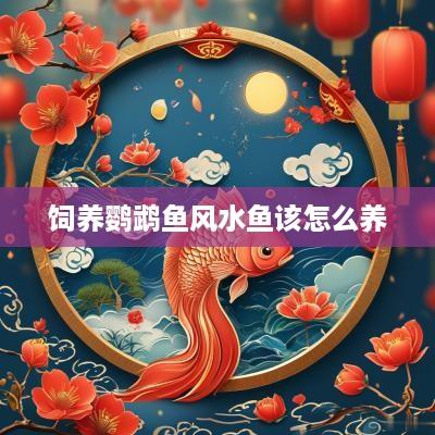 饲养鹦鹉鱼风水鱼该怎么养