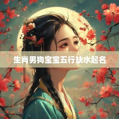 生肖男狗宝宝五行缺水起名